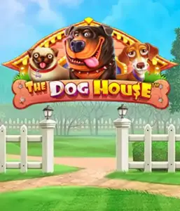 Experience Pragmatic Play's The Dog House adventure, offering an adorable experience among charming canines. Engage in features such as free spins, perfect for delivering joyful moments. A must-try for animal enthusiasts an amusing atmosphere and the opportunity to win big.