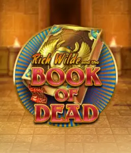 Dive into the thrilling world of Book of Dead by Play'n GO, presenting vivid graphics of Rich Wilde's journey through ancient Egyptian tombs and artifacts. Uncover lost riches with captivating mechanics like free spins, expanding symbols, and a gamble option. Ideal for those seeking adventure with a desire for exciting finds.